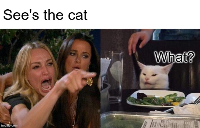 Woman Yelling At Cat Meme | See's the cat; What? | image tagged in memes,woman yelling at cat | made w/ Imgflip meme maker