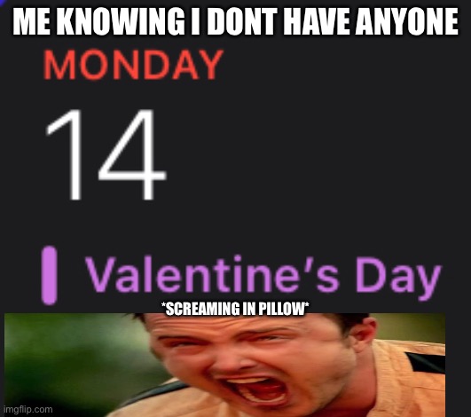 Why is the world so cruel to me… | ME KNOWING I DONT HAVE ANYONE; *SCREAMING IN PILLOW* | image tagged in funny,fun,pain,valentine's day | made w/ Imgflip meme maker
