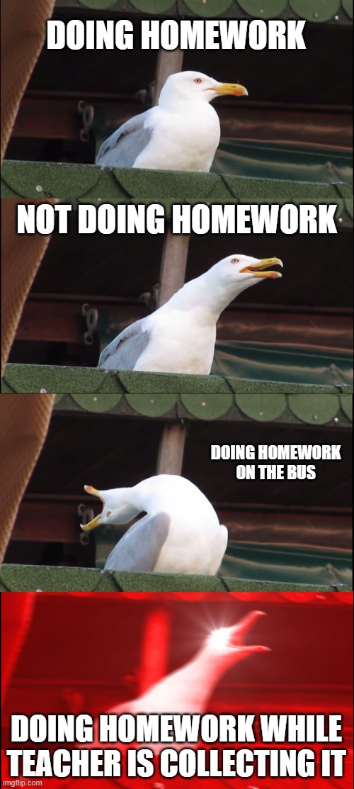 Inhaling Seagull | DOING HOMEWORK; NOT DOING HOMEWORK; DOING HOMEWORK ON THE BUS; DOING HOMEWORK WHILE TEACHER IS COLLECTING IT | image tagged in memes,inhaling seagull | made w/ Imgflip meme maker