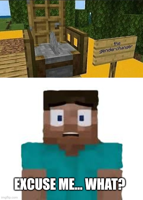 IT'S NOT WRONG | EXCUSE ME... WHAT? | image tagged in minecraft,minecraft steve,minecraft memes | made w/ Imgflip meme maker