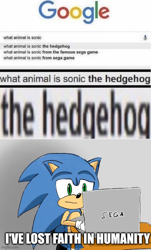 A BIG FACEPALM FOR HUMANITY | I'VE LOST FAITH IN HUMANITY | image tagged in sonic the hedgehog,sonic,hedgehog,stupid people | made w/ Imgflip meme maker