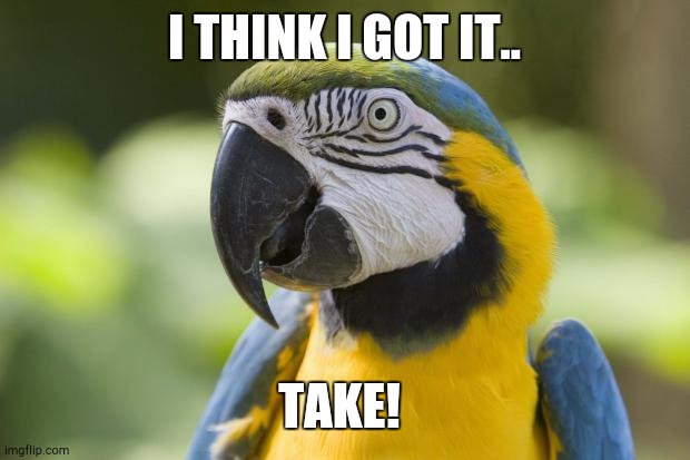 parrot | I THINK I GOT IT.. TAKE! | image tagged in parrot | made w/ Imgflip meme maker