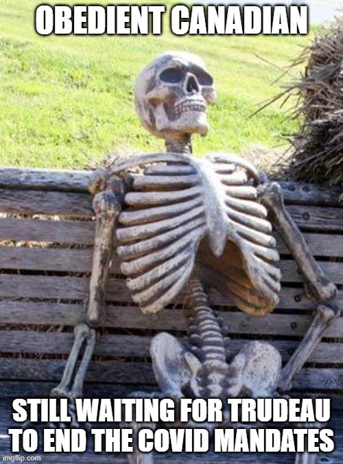 Waiting Skeleton | OBEDIENT CANADIAN; STILL WAITING FOR TRUDEAU TO END THE COVID MANDATES | image tagged in memes,waiting skeleton | made w/ Imgflip meme maker