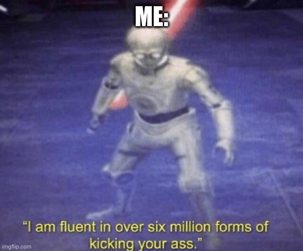 I am fluent in over six million forms of kicking your ass | ME: | image tagged in i am fluent in over six million forms of kicking your ass | made w/ Imgflip meme maker