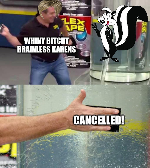 Flex Tape | WHINY BITCHY BRAINLESS KARENS; CANCELLED! | image tagged in flex tape | made w/ Imgflip meme maker