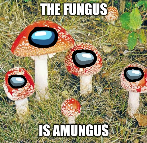 Sus | THE FUNGUS; IS AMUNGUS | image tagged in amogus,sus,sussy,sussy baka,among us | made w/ Imgflip meme maker