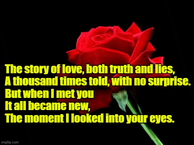 rose | The story of love, both truth and lies,
A thousand times told, with no surprise.
But when I met you
It all became new,
The moment I looked into your eyes. | image tagged in rose | made w/ Imgflip meme maker