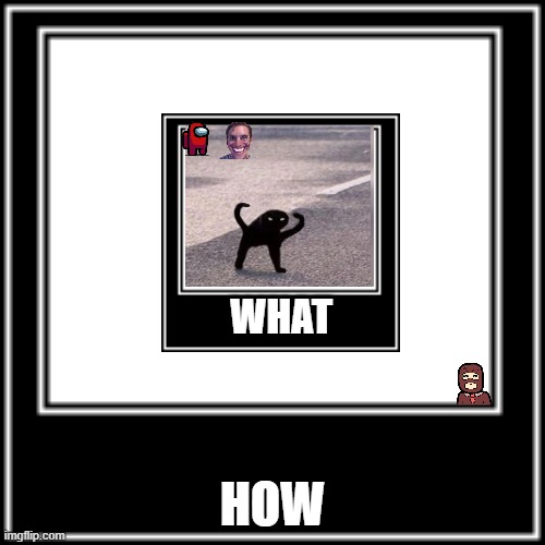 casual meme | WHAT; HOW | image tagged in what how | made w/ Imgflip meme maker