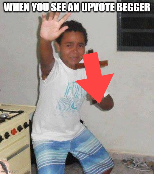 stop upvote beggars | WHEN YOU SEE AN UPVOTE BEGGER | image tagged in kid with cross | made w/ Imgflip meme maker