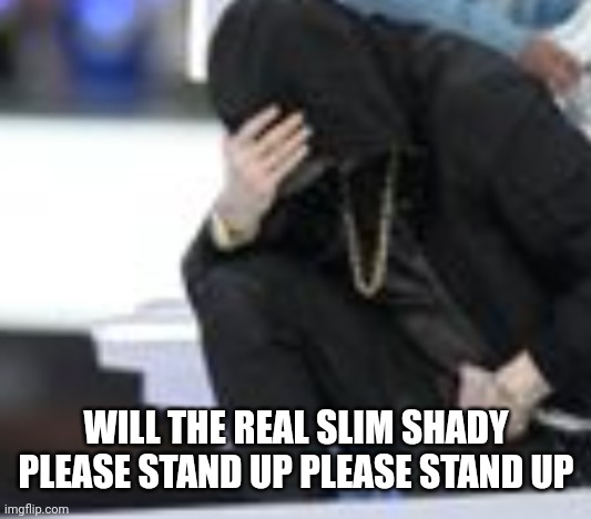 WILL THE REAL SLIM SHADY PLEASE STAND UP PLEASE STAND UP | made w/ Imgflip meme maker