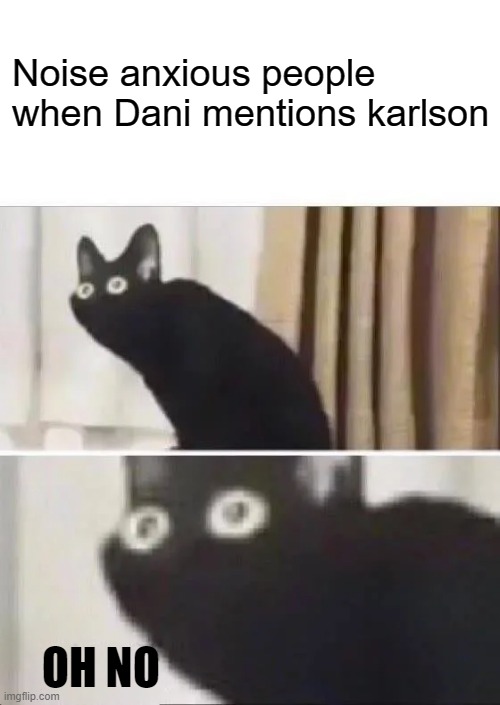 you don't know what karlson is? | Noise anxious people when Dani mentions karlson; OH NO | image tagged in oh no black cat | made w/ Imgflip meme maker