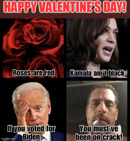 Happy Valentine's Day! | HAPPY VALENTINE'S DAY! | image tagged in happy valentine's day | made w/ Imgflip meme maker
