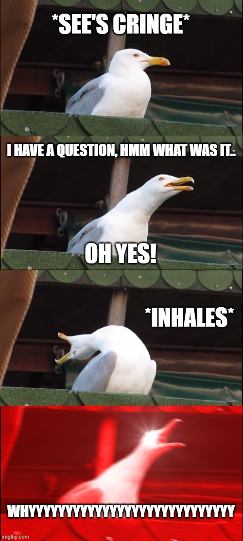Inhaling Seagull | *SEE'S CRINGE*; I HAVE A QUESTION, HMM WHAT WAS IT.. OH YES! *INHALES*; WHYYYYYYYYYYYYYYYYYYYYYYYYYYYY | image tagged in memes,inhaling seagull | made w/ Imgflip meme maker