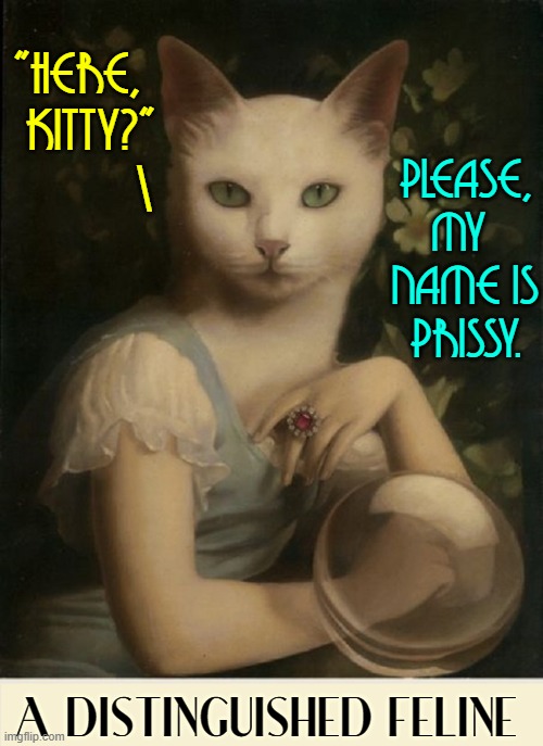 ...and she speaks perfect Felinese | "HERE,  
KITTY?"
        \; PLEASE,
MY 
NAME IS
PRISSY. A DISTINGUISHED FELINE | image tagged in vince vance,funny cat memes,meow,cats,i love cats,feline | made w/ Imgflip meme maker