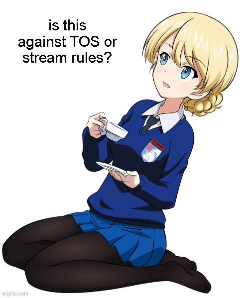 Darjeeling drinking tea | is this against TOS or stream rules? | image tagged in darjeeling drinking tea | made w/ Imgflip meme maker