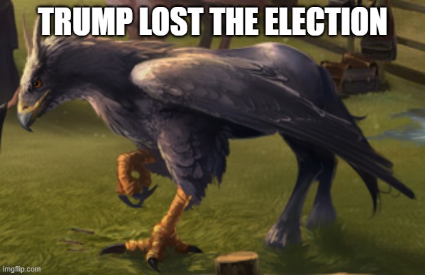 Hippogriff | TRUMP LOST THE ELECTION | image tagged in hippogriff | made w/ Imgflip meme maker