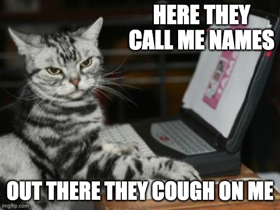 Cat computer | HERE THEY CALL ME NAMES OUT THERE THEY COUGH ON ME | image tagged in cat computer | made w/ Imgflip meme maker