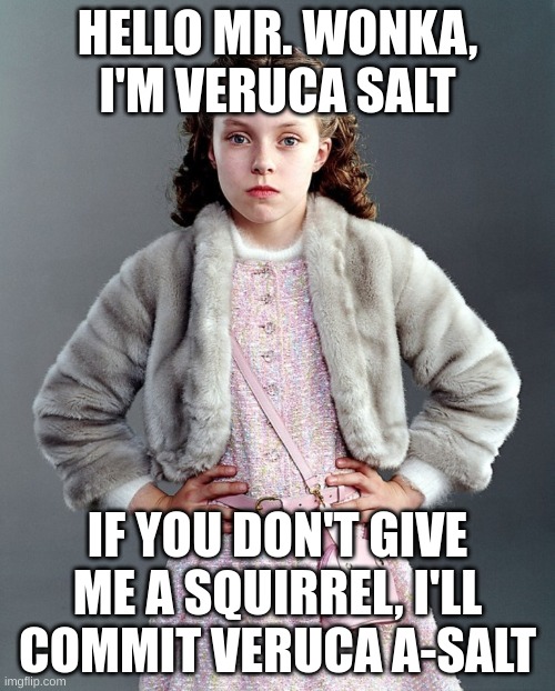 Veruca Salt is Angry | HELLO MR. WONKA, I'M VERUCA SALT; IF YOU DON'T GIVE ME A SQUIRREL, I'LL COMMIT VERUCA A-SALT | image tagged in willy wonka | made w/ Imgflip meme maker