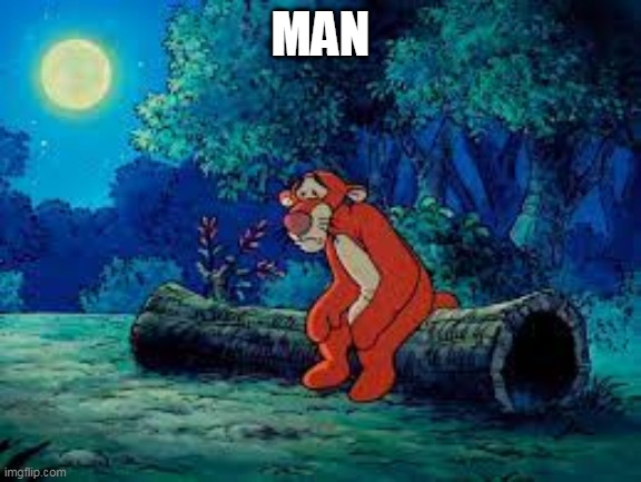 The not so wonderful thing about Tiggers | MAN | image tagged in winnie the pooh,tigger,man,sad,tiger,disney | made w/ Imgflip meme maker