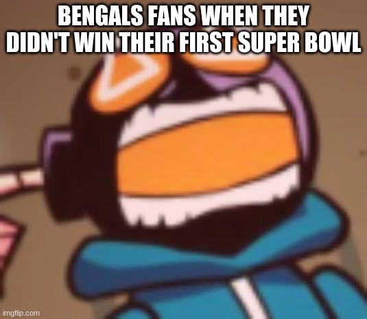 Nooooooooooooooooooooooo, Why can't u win your first super bowl | BENGALS FANS WHEN THEY DIDN'T WIN THEIR FIRST SUPER BOWL | image tagged in ballistic whitty,memes,bengals,superbowl,los angeles rams | made w/ Imgflip meme maker