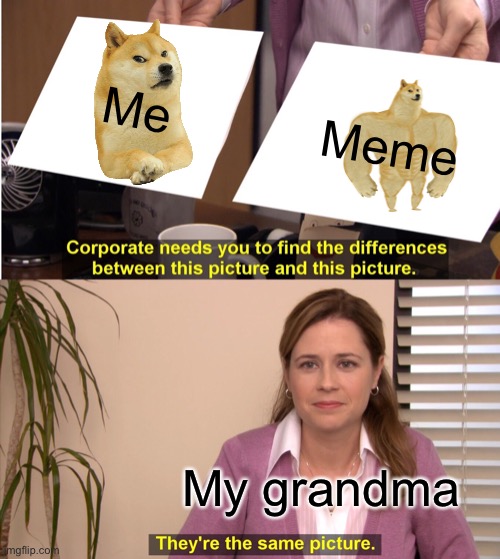 They're The Same Picture | Me; Meme; My grandma | image tagged in memes,they're the same picture | made w/ Imgflip meme maker