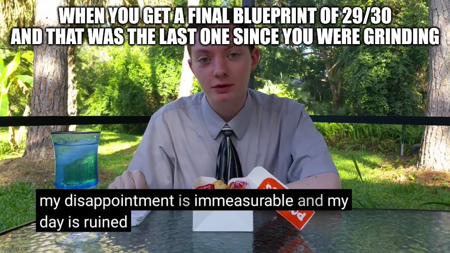 Well i feel you're pain bro | WHEN YOU GET A FINAL BLUEPRINT OF 29/30 AND THAT WAS THE LAST ONE SINCE YOU WERE GRINDING | image tagged in my disappointment is immeasurable | made w/ Imgflip meme maker