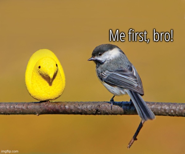 Me first, bro! | made w/ Imgflip meme maker