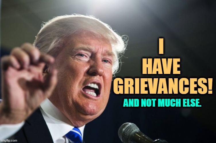 Boo hoo. | I 
HAVE 
GRIEVANCES! AND NOT MUCH ELSE. | image tagged in donald trump,complaining,forever,boring,empty | made w/ Imgflip meme maker