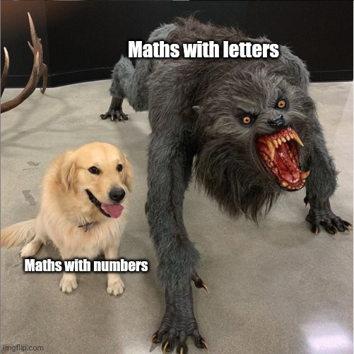 Only maths survivors know this pain | Maths with letters; Maths with numbers | image tagged in dog vs werewolf,maths,algebra | made w/ Imgflip meme maker