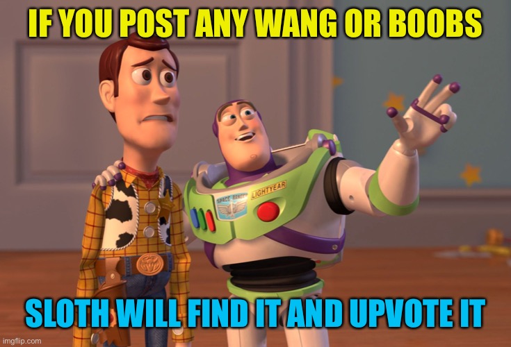 Flip myth that might be true, who knows |  IF YOU POST ANY WANG OR BOOBS; SLOTH WILL FIND IT AND UPVOTE IT | image tagged in memes,x x everywhere | made w/ Imgflip meme maker