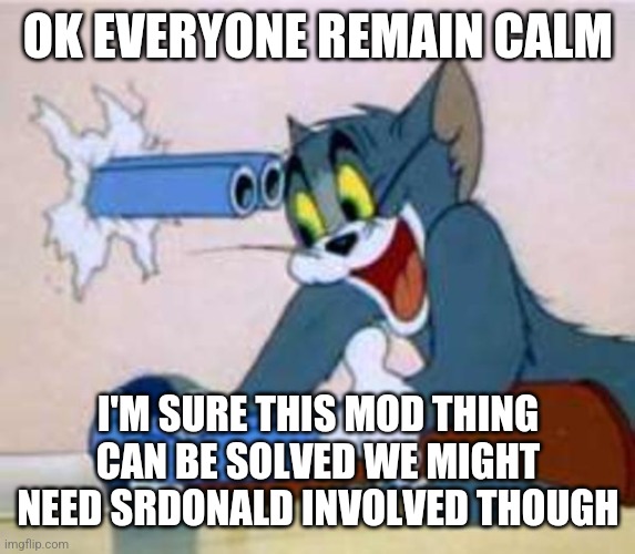 tom the cat shooting himself  | OK EVERYONE REMAIN CALM; I'M SURE THIS MOD THING CAN BE SOLVED WE MIGHT NEED SRDONALD INVOLVED THOUGH | image tagged in tom the cat shooting himself | made w/ Imgflip meme maker