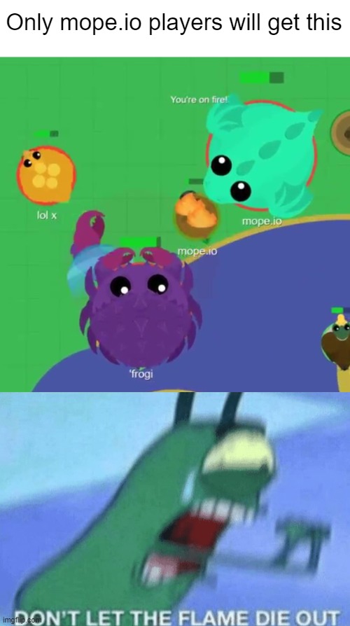 Only mope.io players will get this | image tagged in don t let the flame die out | made w/ Imgflip meme maker