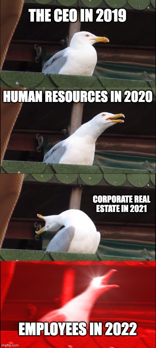 the pandemic | THE CEO IN 2019; HUMAN RESOURCES IN 2020; CORPORATE REAL ESTATE IN 2021; EMPLOYEES IN 2022 | image tagged in memes,inhaling seagull,work,employees,hello no | made w/ Imgflip meme maker
