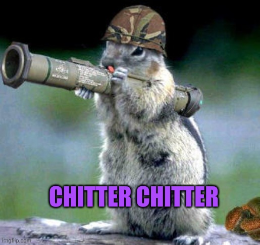 Bazooka Squirrel Meme | CHITTER CHITTER | image tagged in memes,bazooka squirrel | made w/ Imgflip meme maker