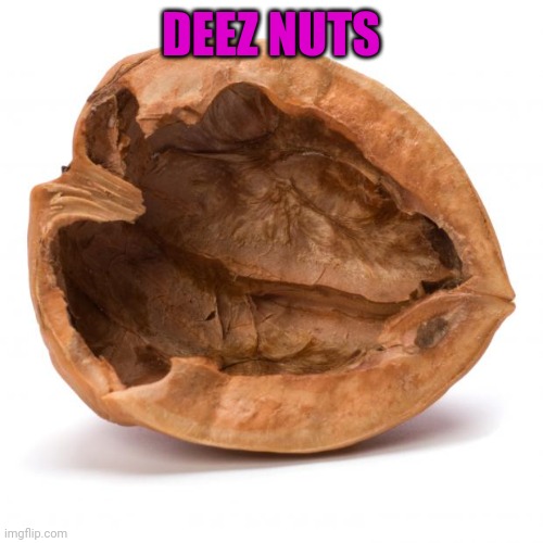 Nutshell | DEEZ NUTS | image tagged in nutshell | made w/ Imgflip meme maker