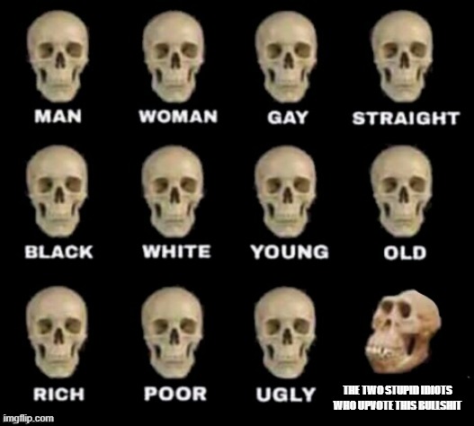 idiot skull | THE TWO STUPID IDIOTS WHO UPVOTE THIS BULLSHIT | image tagged in idiot skull | made w/ Imgflip meme maker