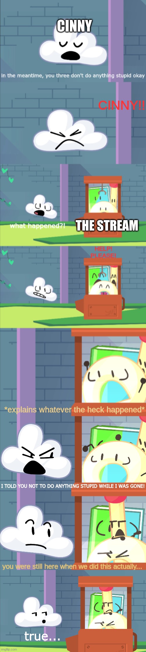 when msmg: | CINNY; CINNY!! THE STREAM; *explains whatever the heck happened* | image tagged in i told you not to do anything stupid while i was gone | made w/ Imgflip meme maker