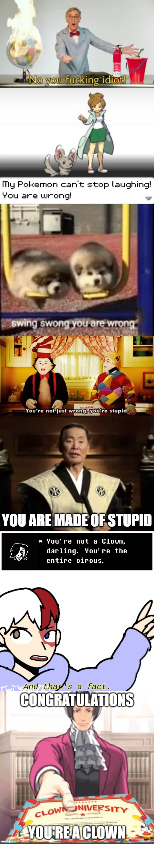 YOU ARE MADE OF STUPID | image tagged in no you fucking idiot,my pokemon can't stop laughing you are wrong,swing swong,you're not just wrong you're stupid | made w/ Imgflip meme maker