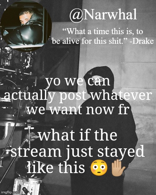*looks at unsubbmited posts* | yo we can actually post whatever we want now fr; what if the stream just stayed like this 😳✋🏼 | image tagged in 2drake nar temp | made w/ Imgflip meme maker