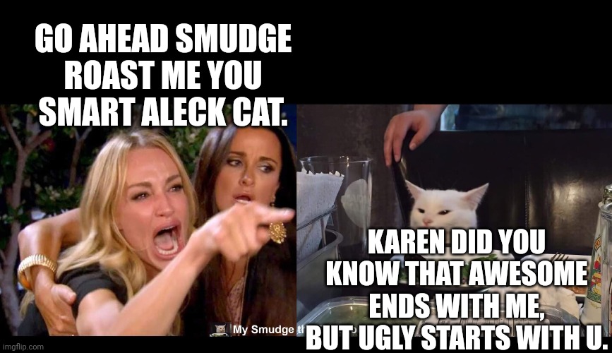 GO AHEAD SMUDGE ROAST ME YOU SMART ALECK CAT. KAREN DID YOU KNOW THAT AWESOME ENDS WITH ME, BUT UGLY STARTS WITH U. | image tagged in smudge the cat | made w/ Imgflip meme maker