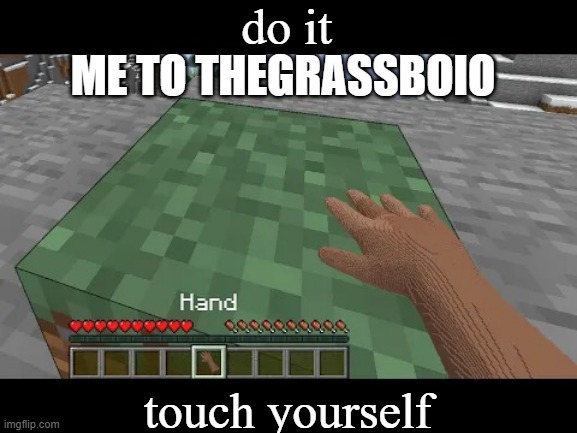 Hand touching Minecraft grass block | do it; ME TO THEGRASSBOIO; touch yourself | image tagged in hand touching minecraft grass block | made w/ Imgflip meme maker
