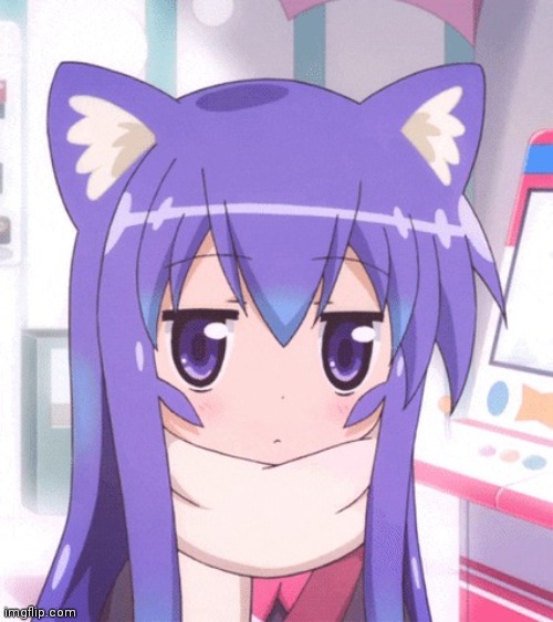 Anime Nyan | image tagged in anime nyan | made w/ Imgflip meme maker