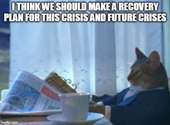 I Should Buy A Boat Cat | I THINK WE SHOULD MAKE A RECOVERY PLAN FOR THIS CRISIS AND FUTURE CRISES | image tagged in memes,i should buy a boat cat | made w/ Imgflip meme maker