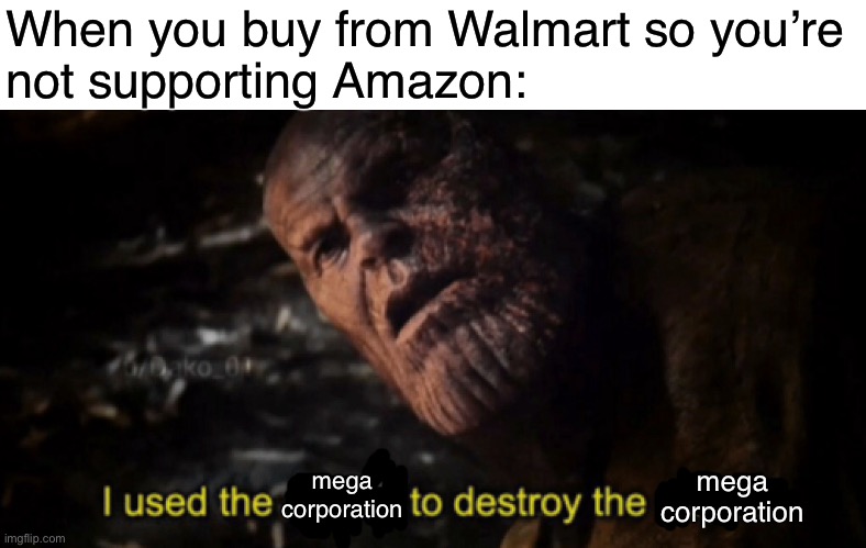 How to defeat capitalism | When you buy from Walmart so you’re
not supporting Amazon:; mega corporation; mega corporation | image tagged in i used the stones to destroy the stones,consumerism,capitalism,free market,corporations,socialism | made w/ Imgflip meme maker