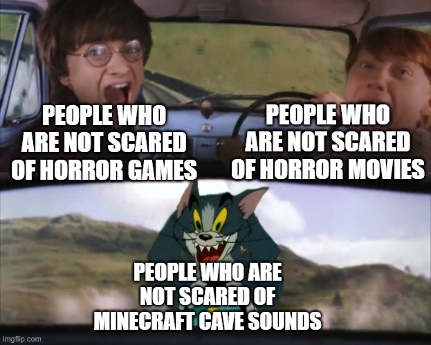 Ah yes, another Minecraft Meme | PEOPLE WHO ARE NOT SCARED OF HORROR MOVIES; PEOPLE WHO ARE NOT SCARED OF HORROR GAMES; PEOPLE WHO ARE NOT SCARED OF MINECRAFT CAVE SOUNDS | image tagged in tom chasing harry and ron weasly,minecraft,funny memes | made w/ Imgflip meme maker