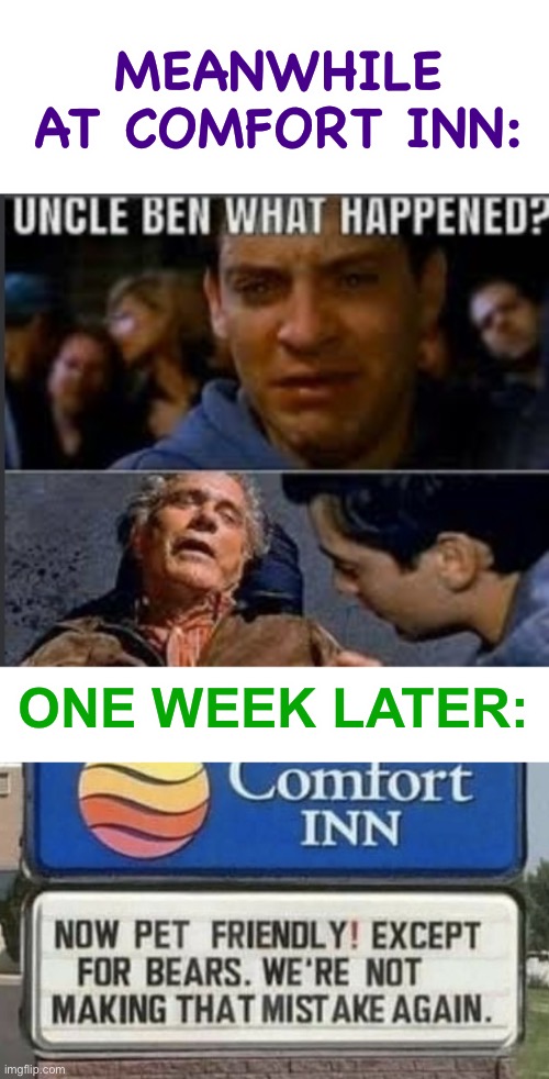 trying out a new meme structure |  MEANWHILE AT COMFORT INN:; ONE WEEK LATER: | image tagged in uncle ben what happened,comfort inn,stupid signs,funny,pet friendly | made w/ Imgflip meme maker