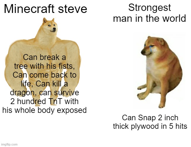 Buff Doge vs. Cheems | Minecraft steve; Strongest man in the world; Can break a tree with his fists, Can come back to life, Can kill a dragon, can survive 2 hundred TnT with his whole body exposed; Can Snap 2 inch thick plywood in 5 hits | image tagged in memes,buff doge vs cheems | made w/ Imgflip meme maker