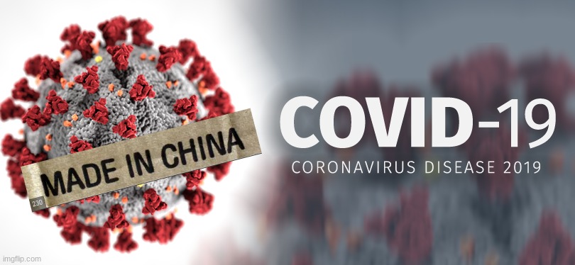hey... I mean, everything's made in China | image tagged in coronavirus,covid-19,made in china | made w/ Imgflip meme maker