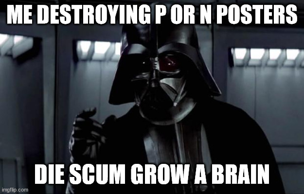 Darth Vader | ME DESTROYING P OR N POSTERS; DIE SCUM GROW A BRAIN | image tagged in darth vader | made w/ Imgflip meme maker