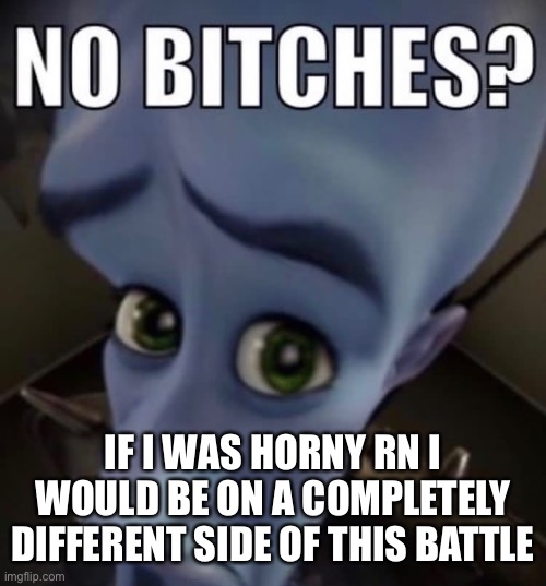 I’m not even on a side | IF I WAS HORNY RN I WOULD BE ON A COMPLETELY DIFFERENT SIDE OF THIS BATTLE | image tagged in no bitches | made w/ Imgflip meme maker